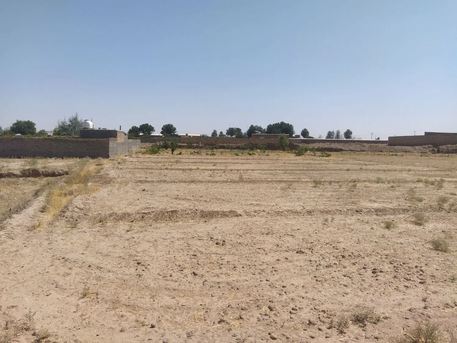 زمین