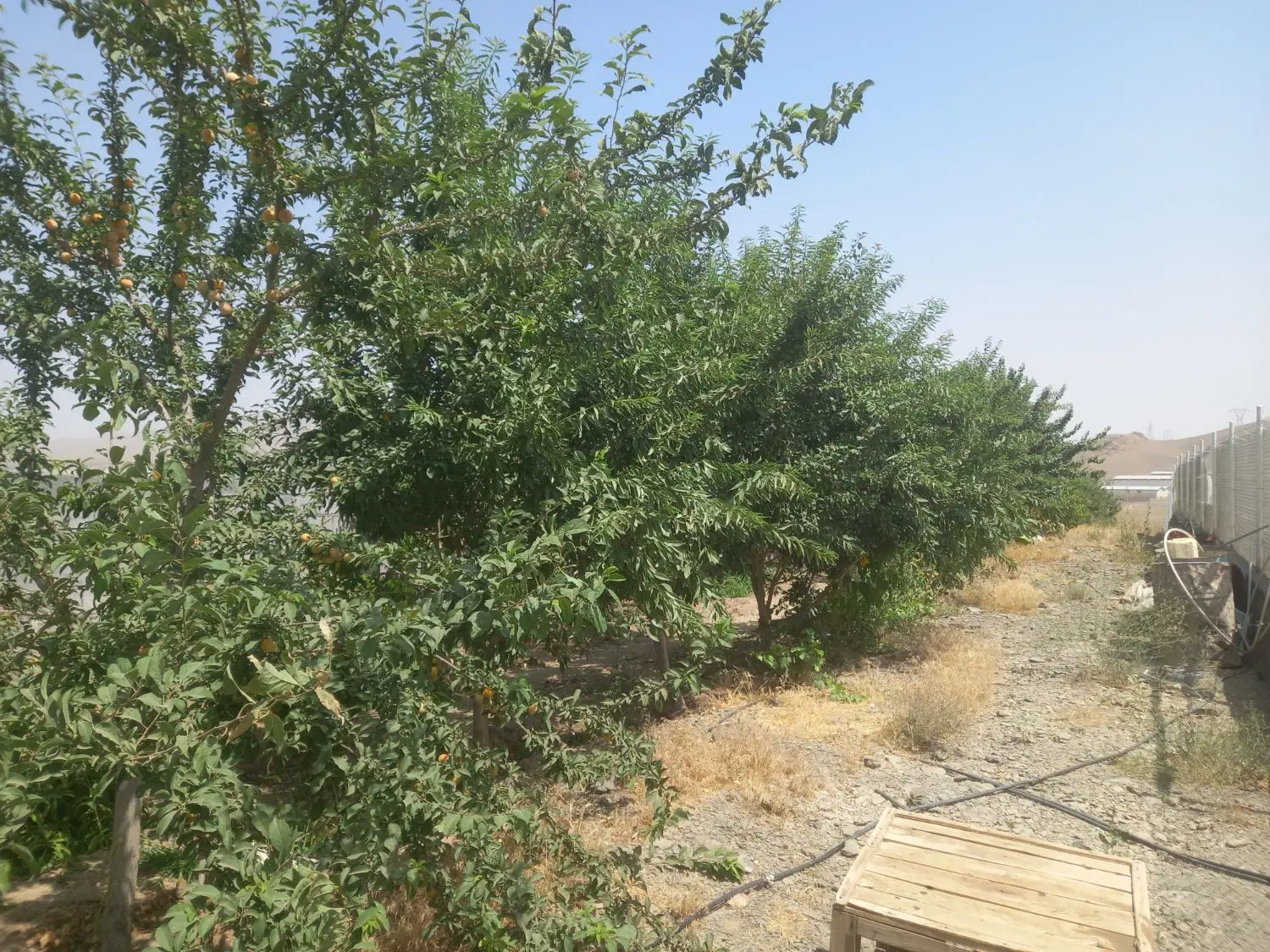 ۲۳۱متر زمین مسکونی سنددار درشفت
