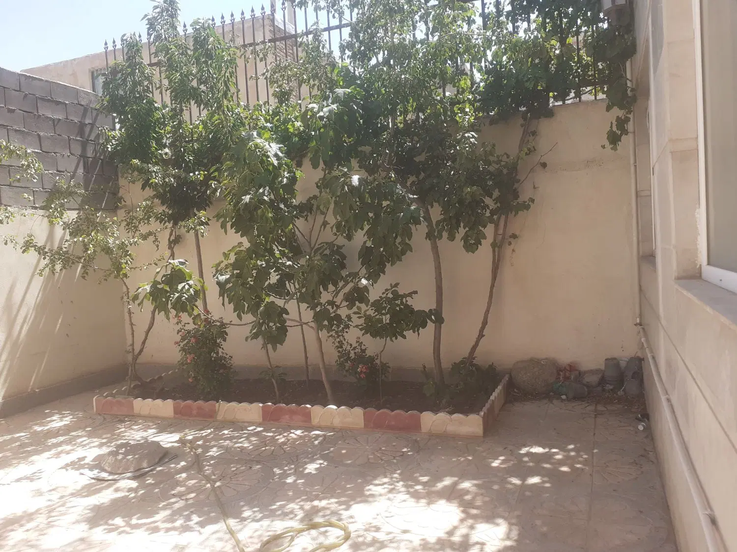 باغ وزمین درجاده جدیدامامزاده محسن