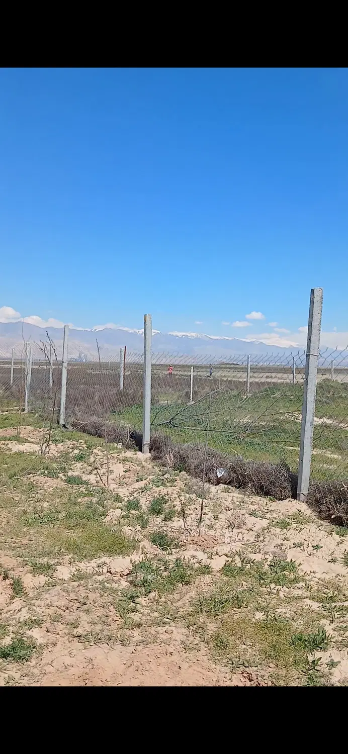 ۵۰۰ متر زمین زراعی متری ۸۰۰ هزار تومان