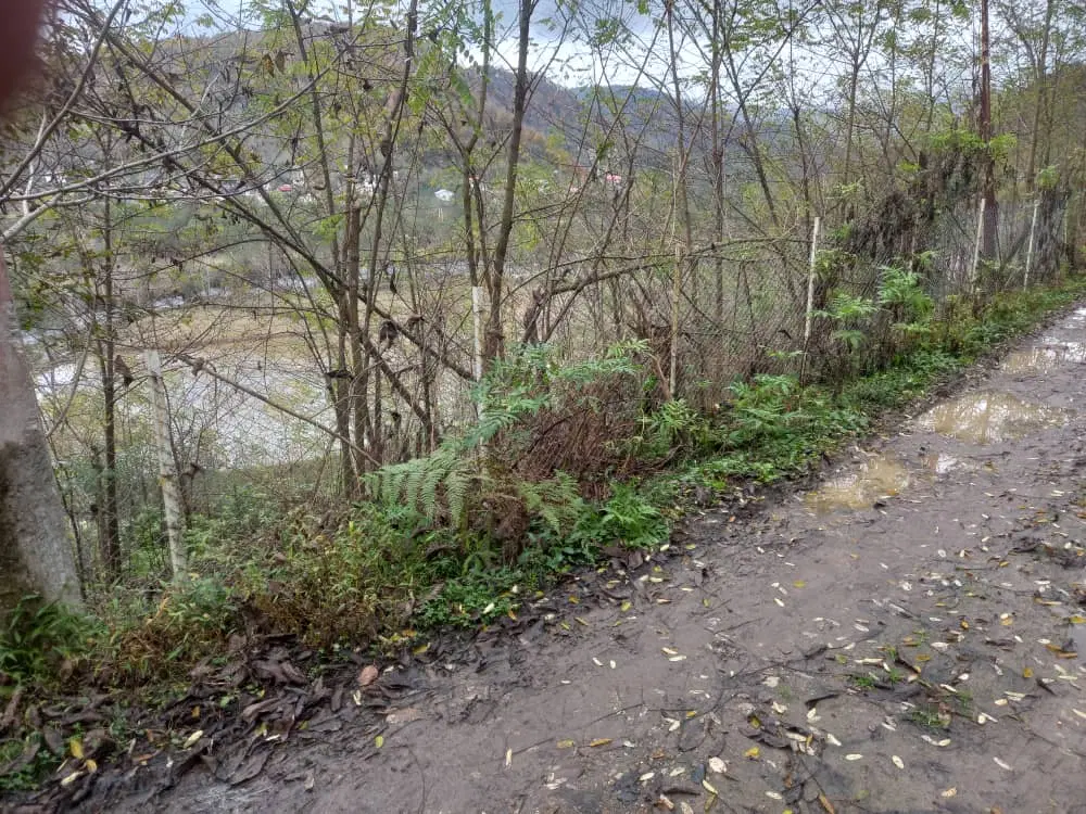 زمین شمال رشت
