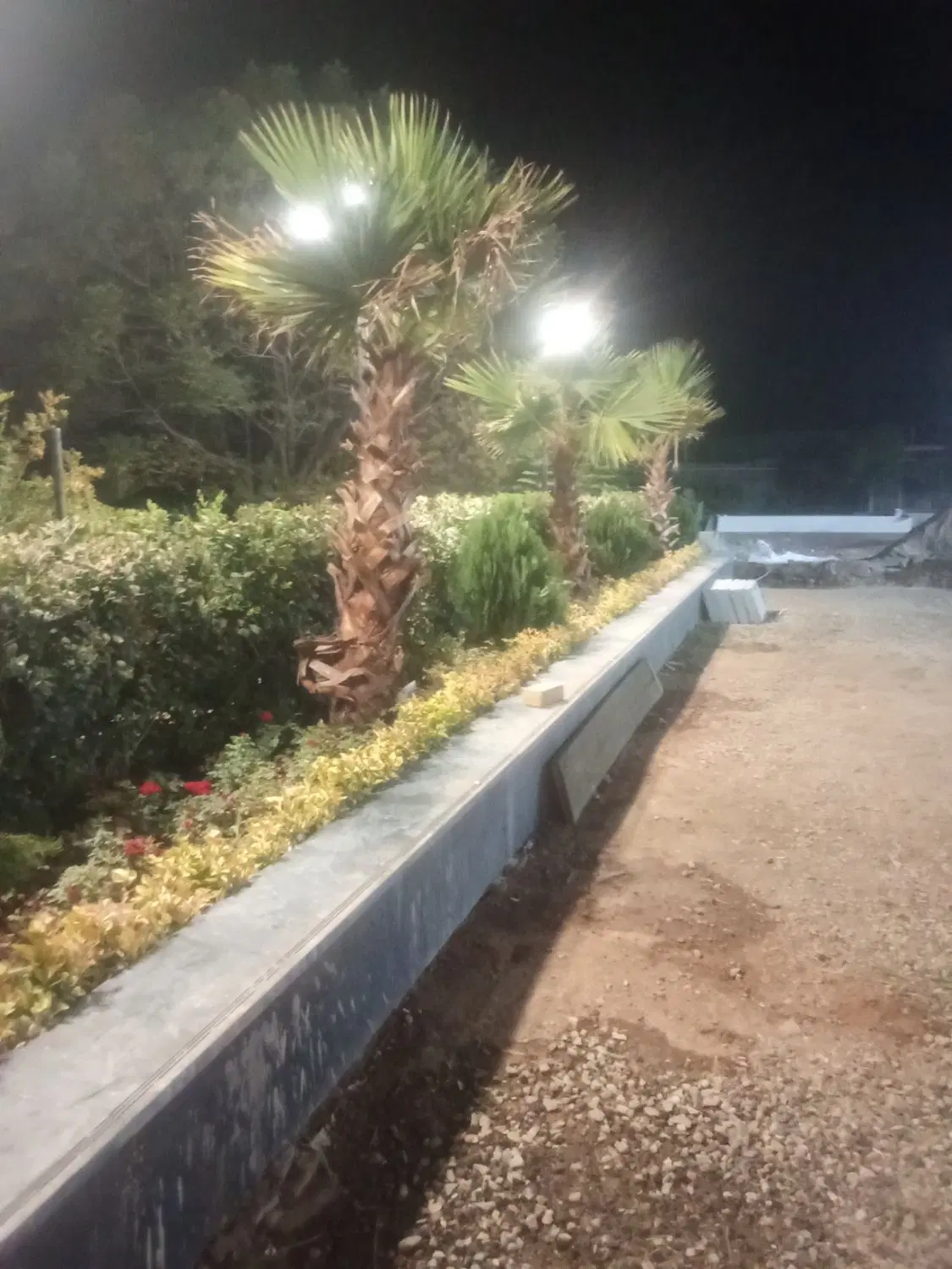 باغ و باغچه