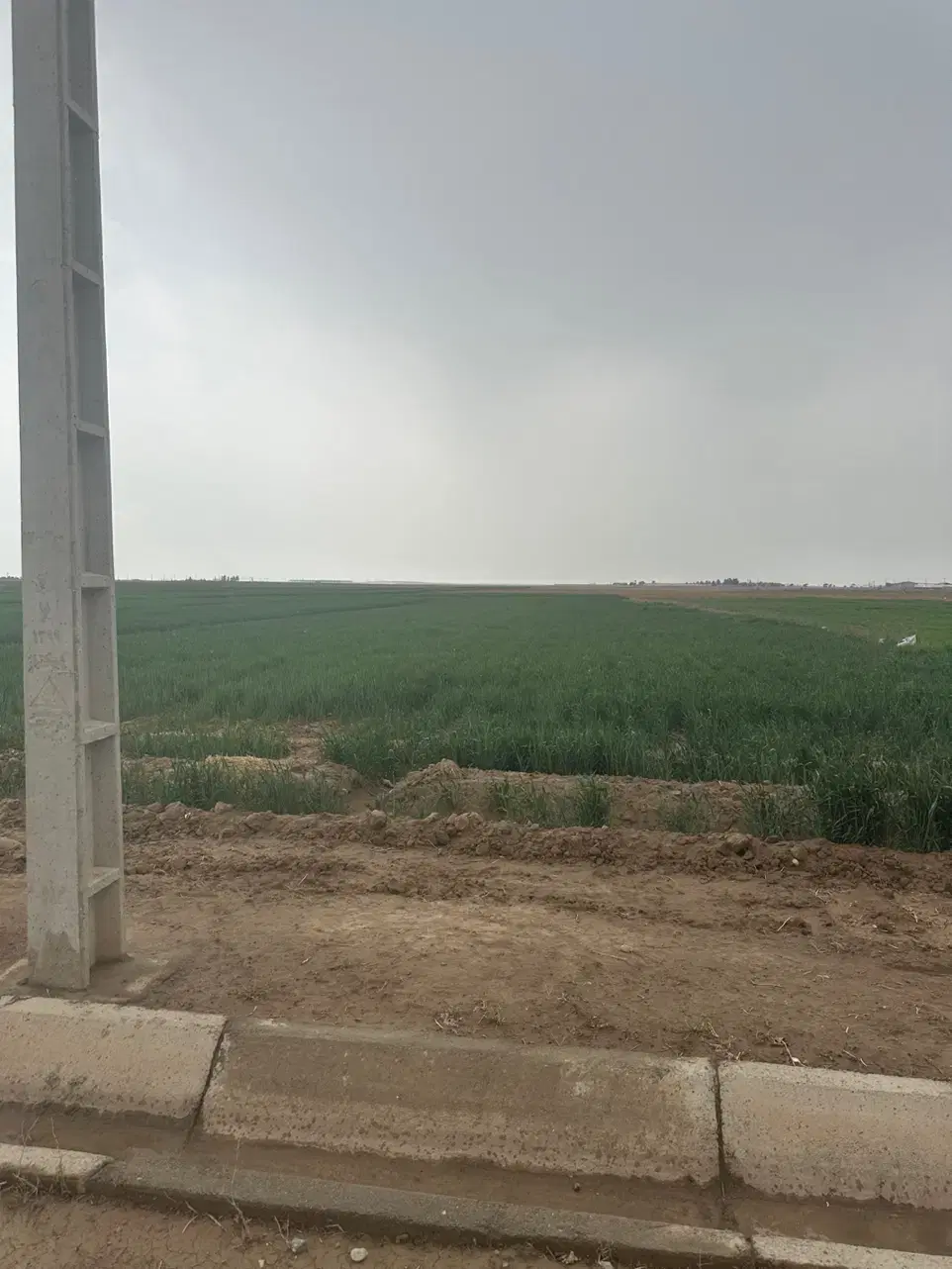 زمین ۲۴۷۰۰متری کشاورزی گلخانه ای باغی