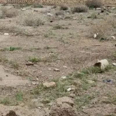 زمین شهرک بهارستان بیدگل