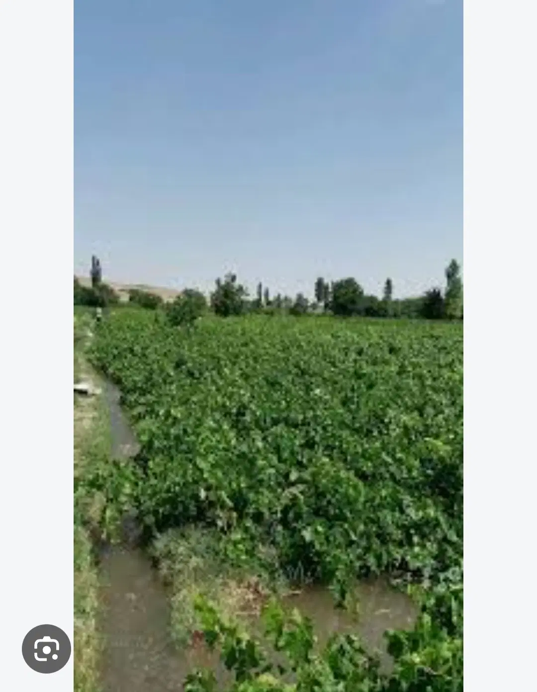 باغ ۵۳۰ متری در سردرود