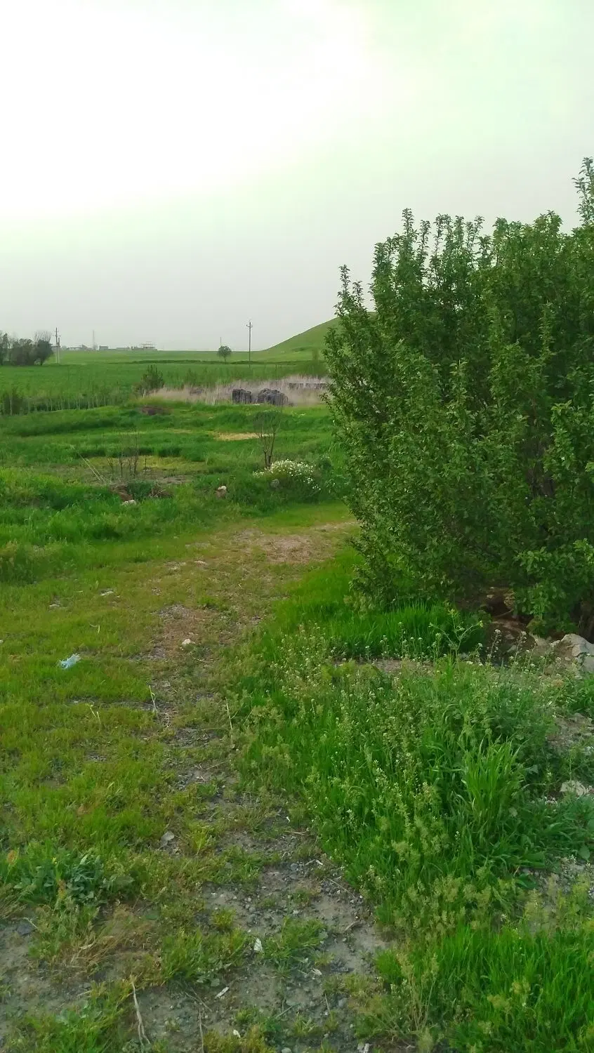 زمین ۵۰۰۰ متری