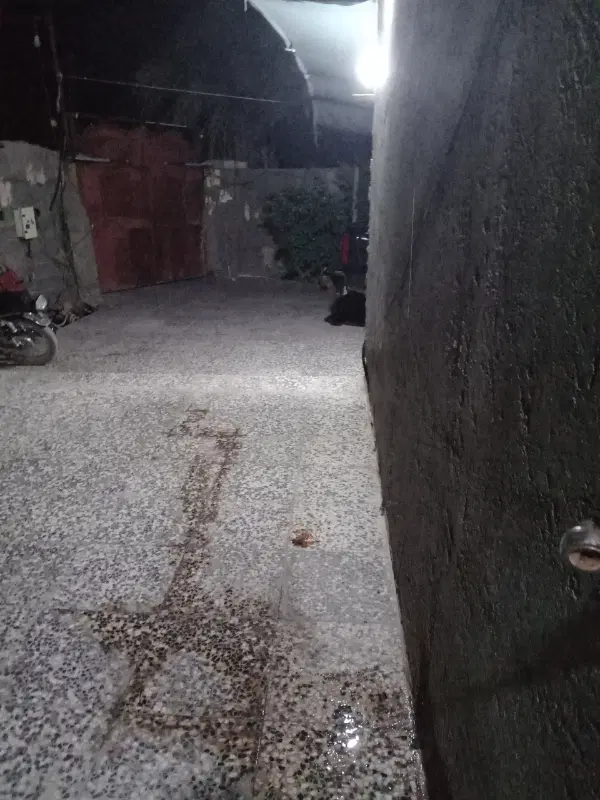 خانه بروات