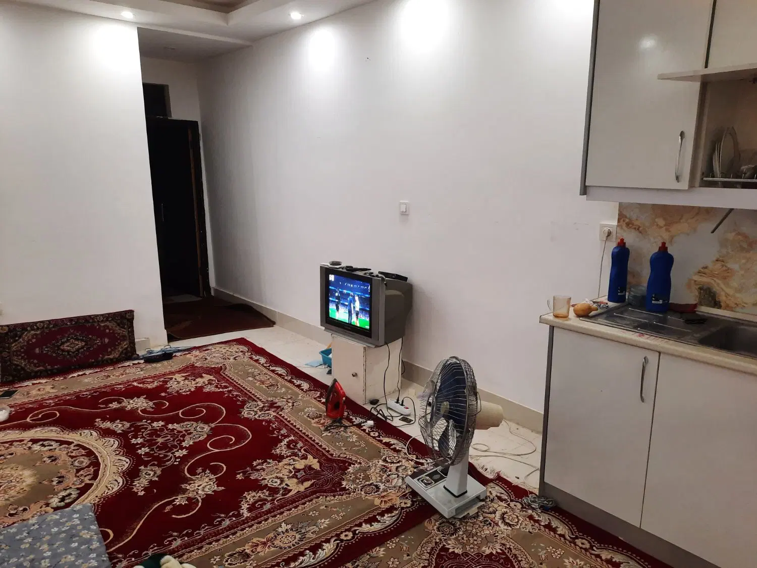 همخونه موجه و ترحیحا کارمند