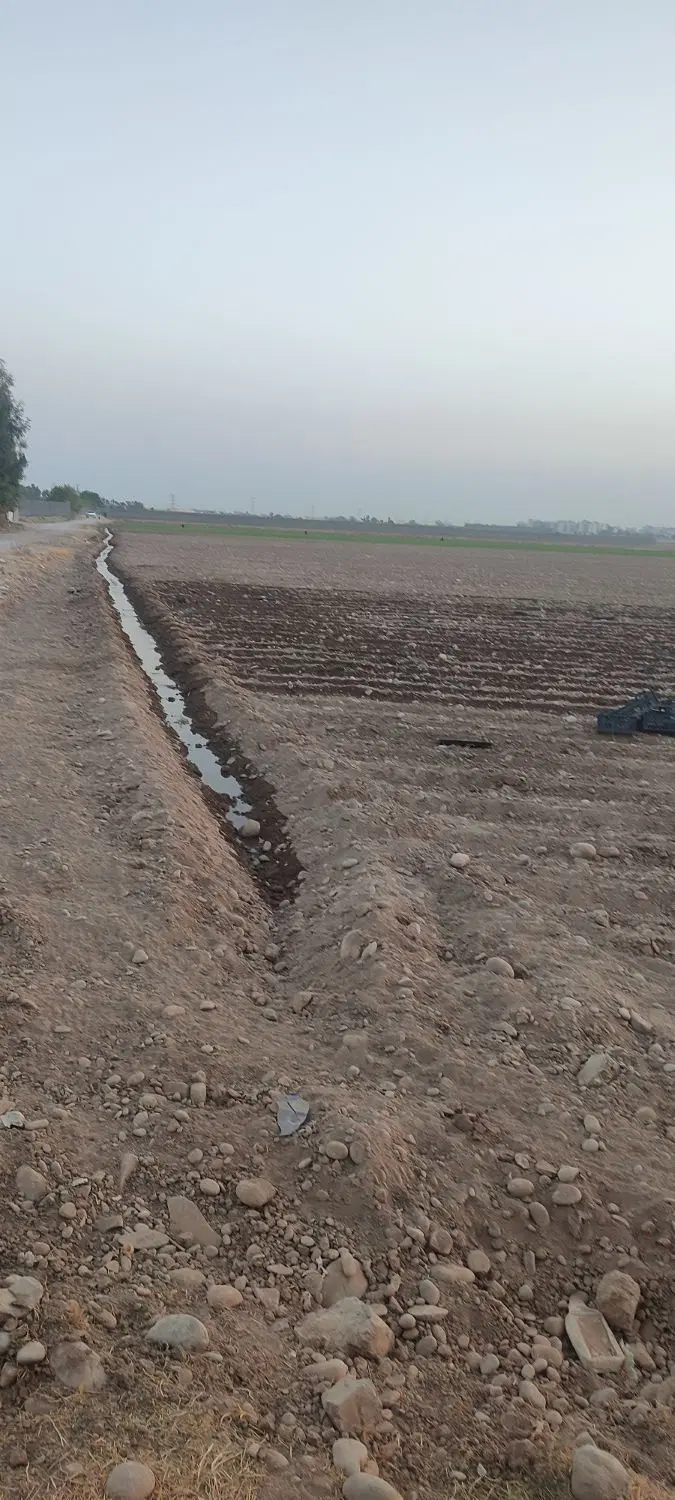 زمین باغچه پشت تالار جام جم