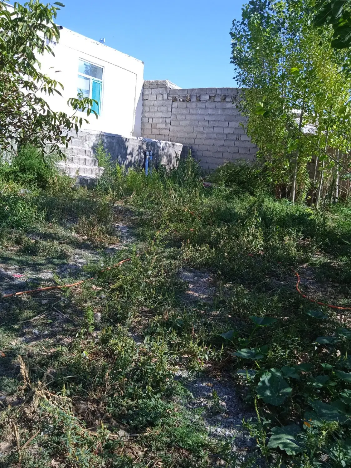 زمین مسکونی احمد بیگلو به متراژ 450