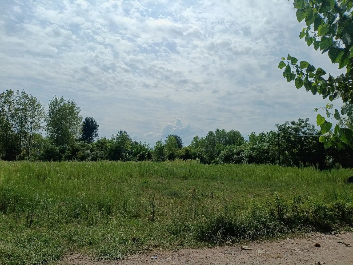 2800متر زمین مسکونی و باغی در سنگر