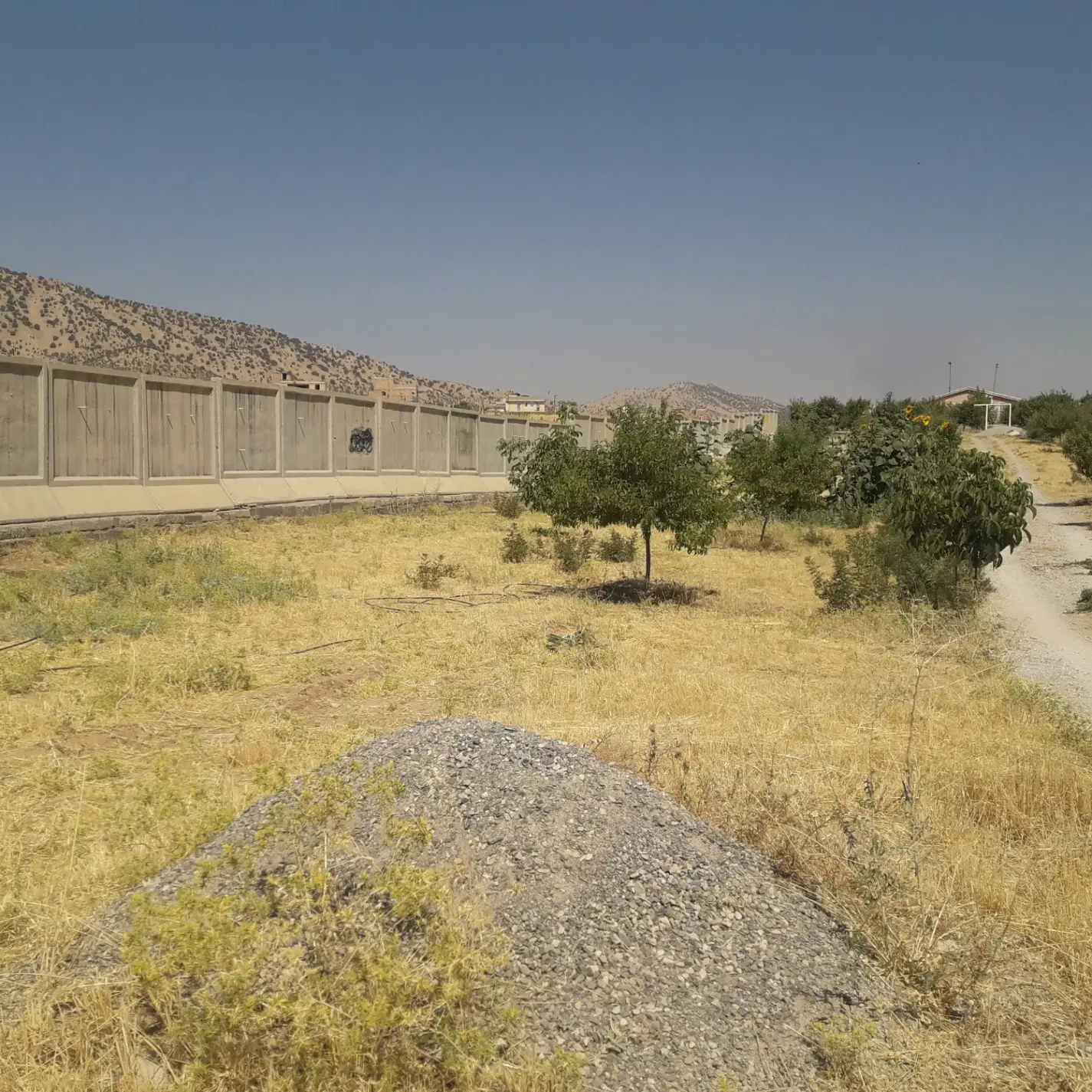 زمین و خانه باغ