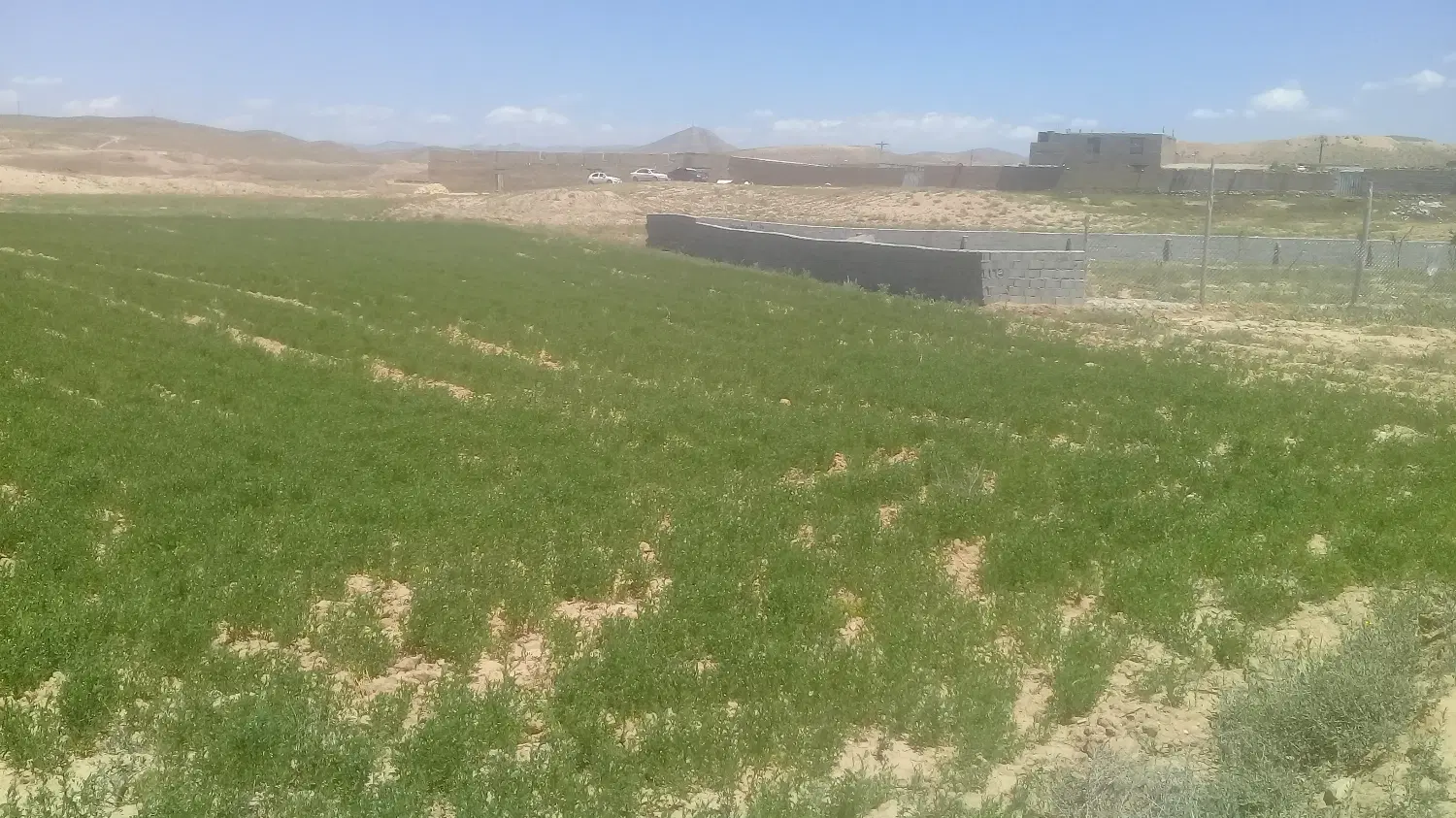 2100 متر زمین کشاورزی