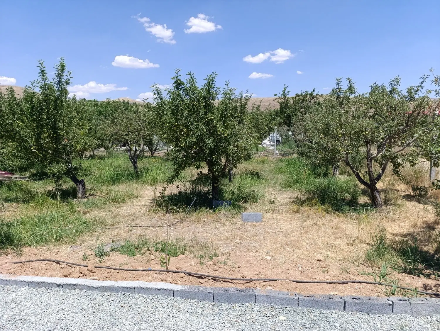 کشاورزی به متراژ 600متر در روستای قلیان