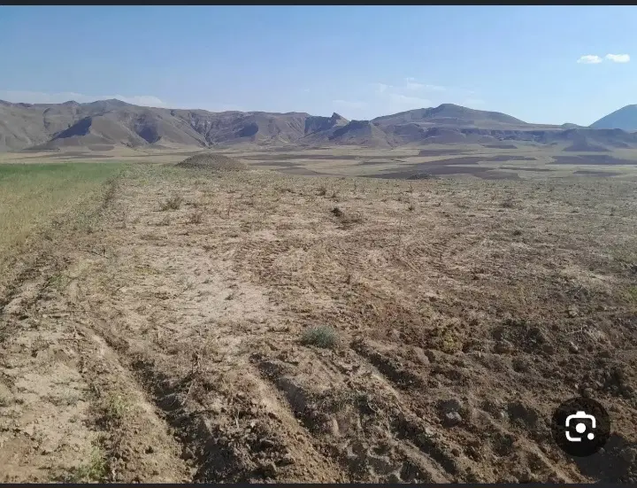 قطعه زمین ۲هکتار