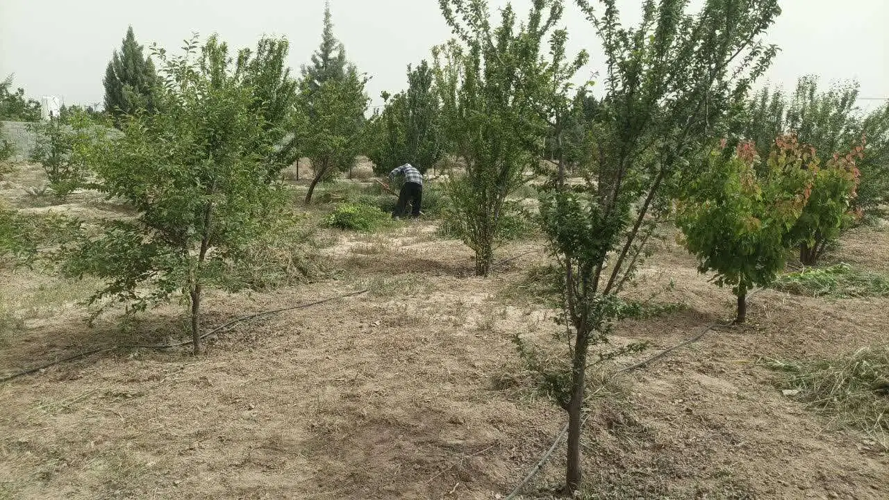 فروش زمین در نسیم شهر