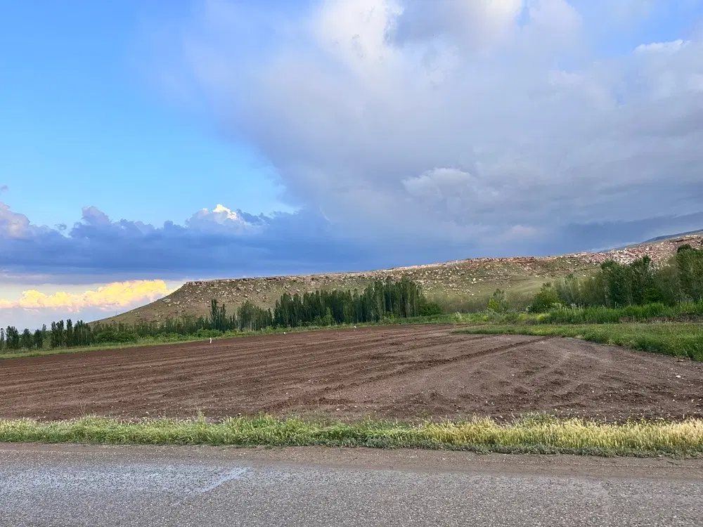 زمین مناسب باغ روستای قزل داغ بر جاده