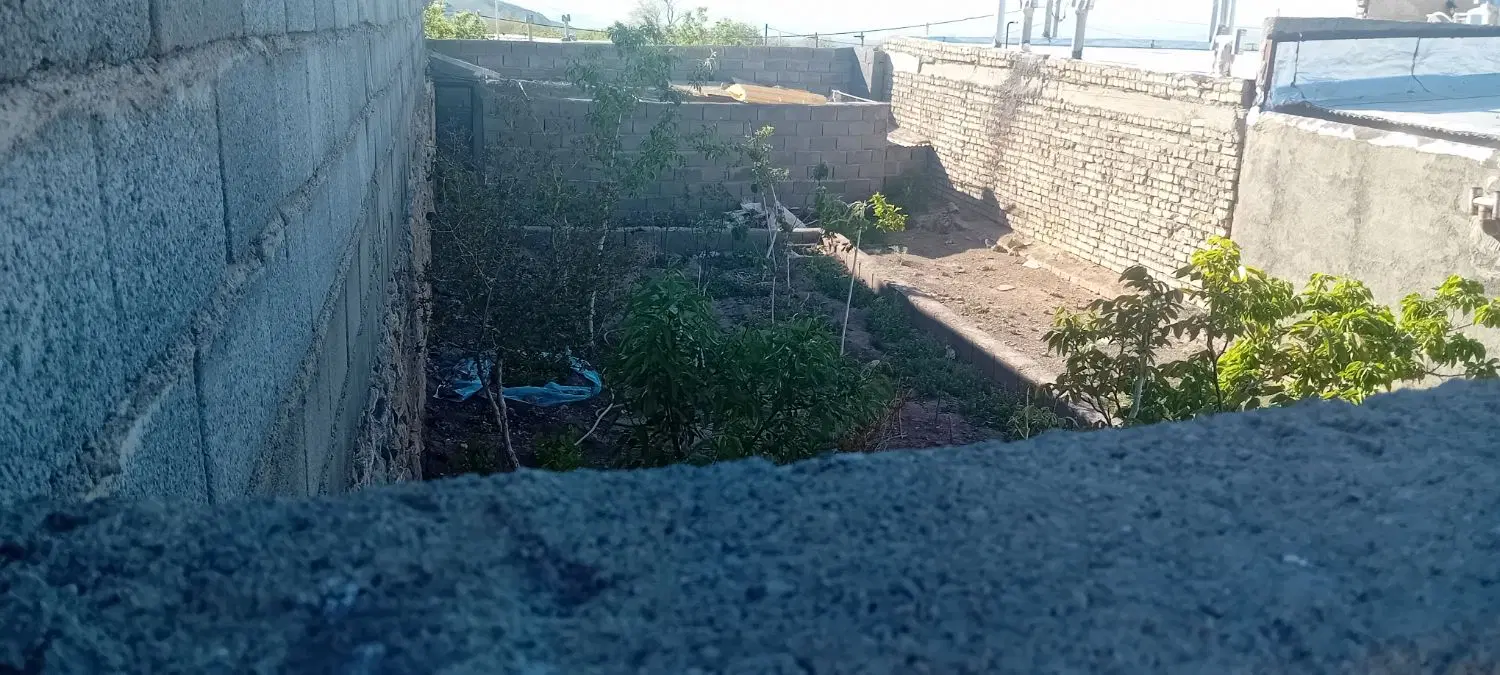 باغچه پرنیان علی آباد نیزار پروانه دار