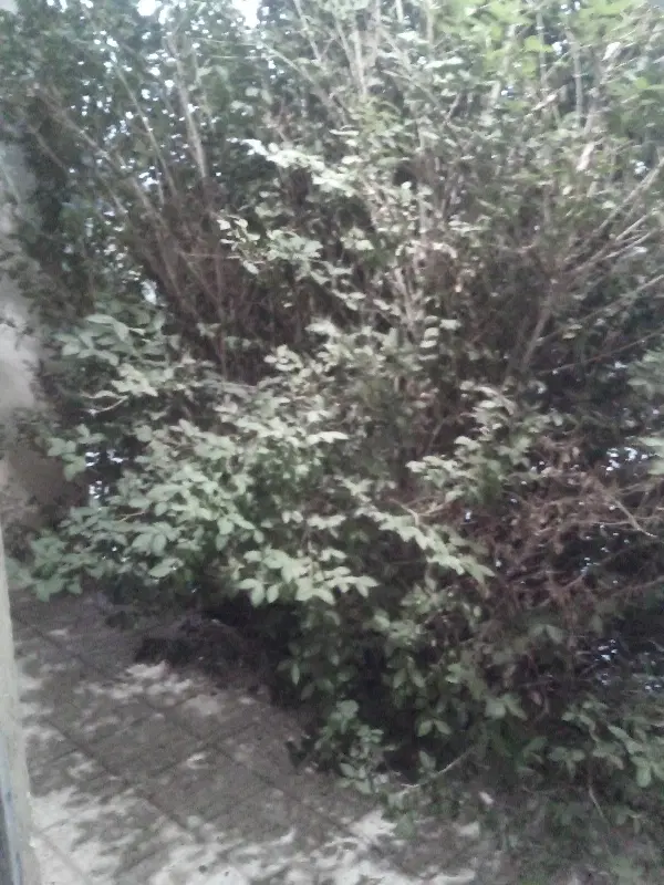 خانه ۴۸۰ متر درروستای آقبلاغ رستم خان