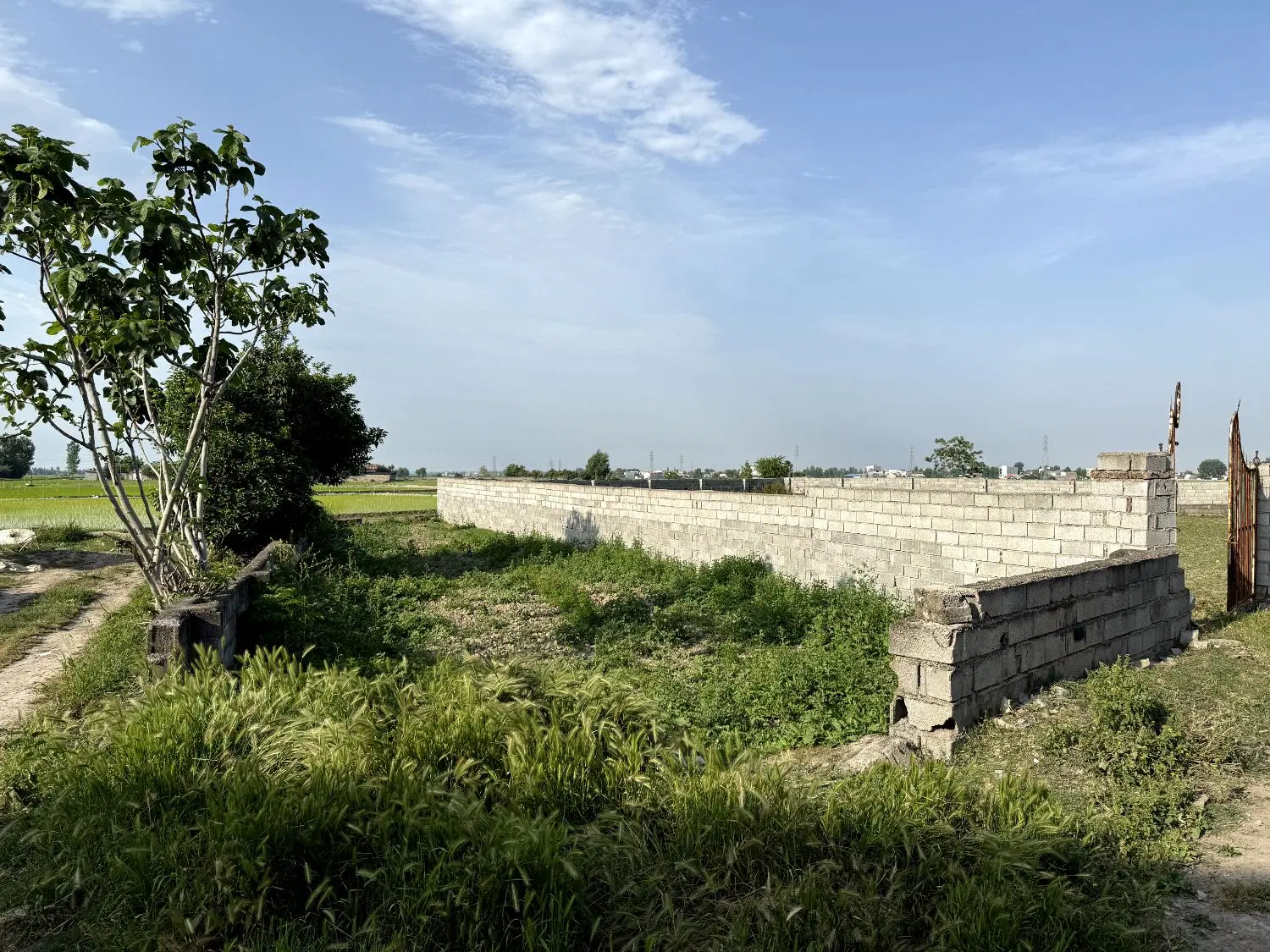 ملک مسکونی