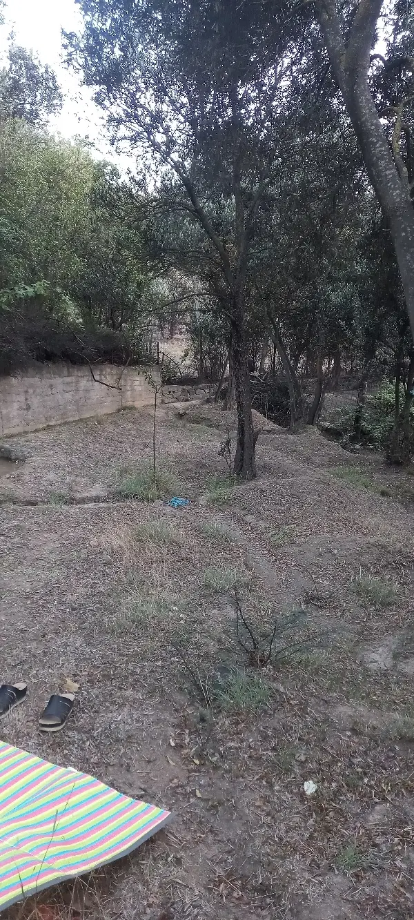 باغ در کلشتر