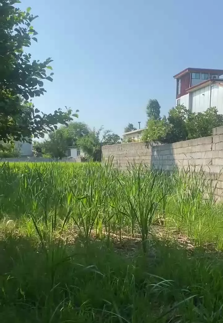 فروش زمین ساحلی