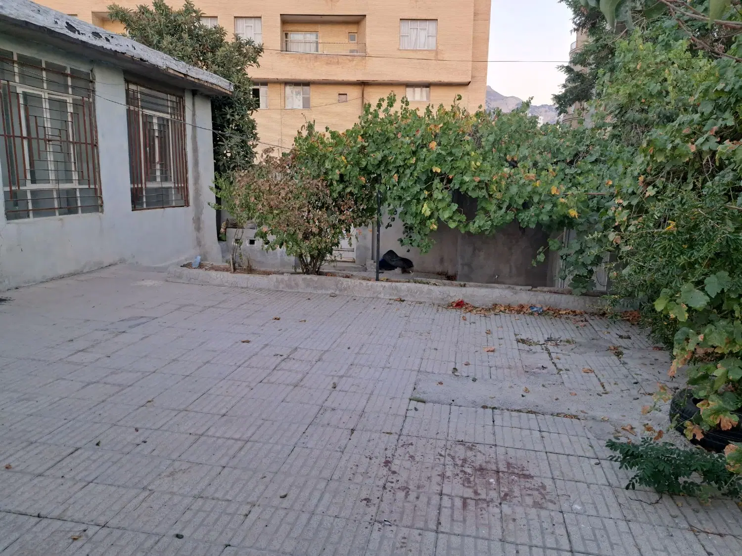 خونه کاشانی سالم آباد