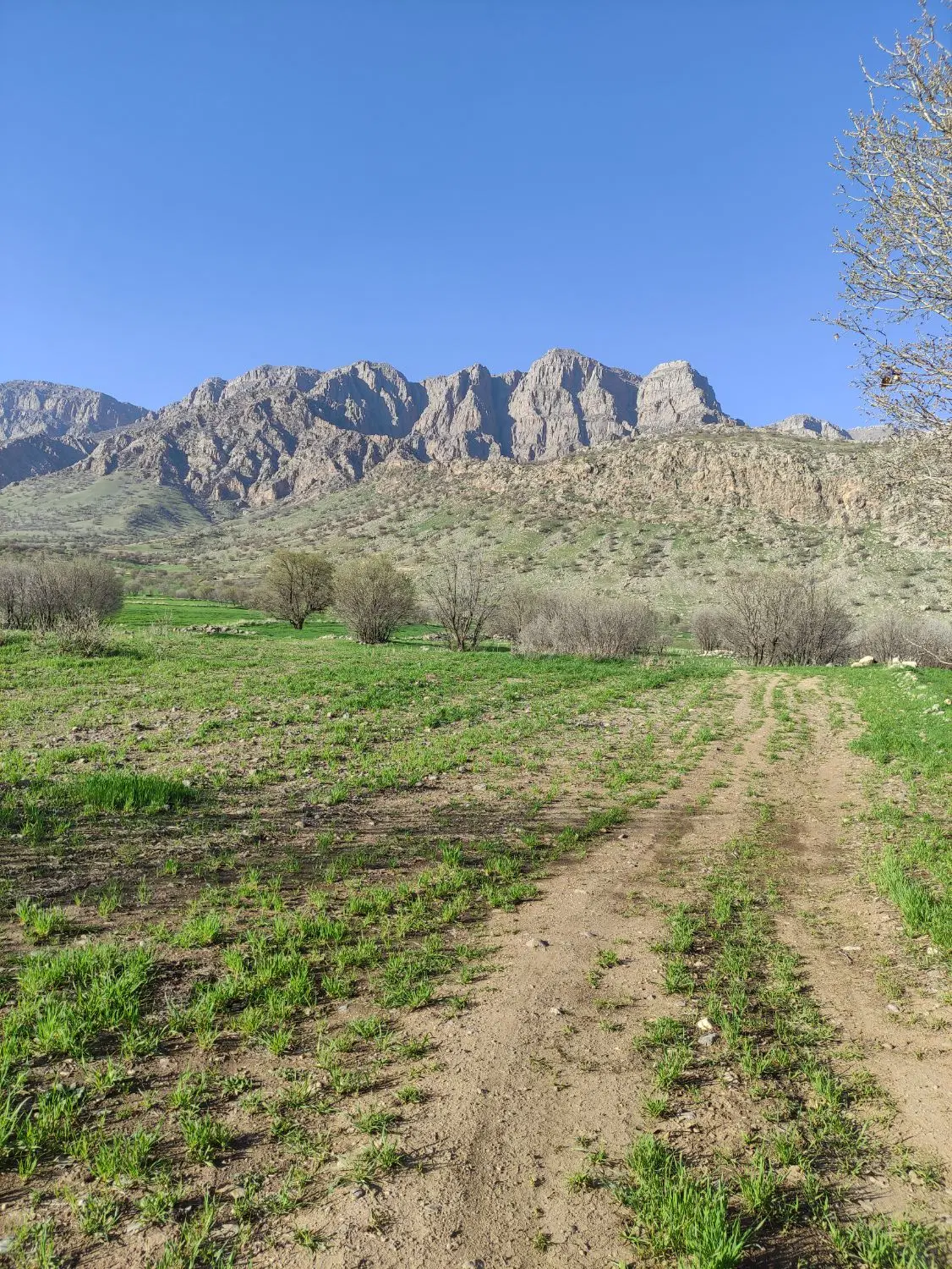 یک قطعه زمین مسکونی درگذشت غربی ساحل دهم