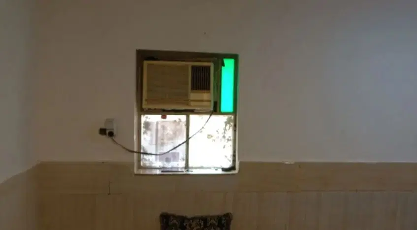 هم خانه خانم