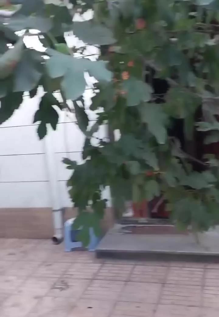 فروش خانه ویلایی
