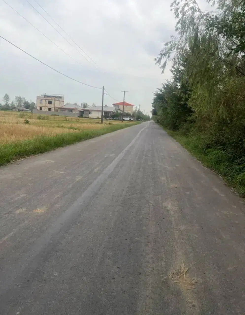 زمین بر آسفالت