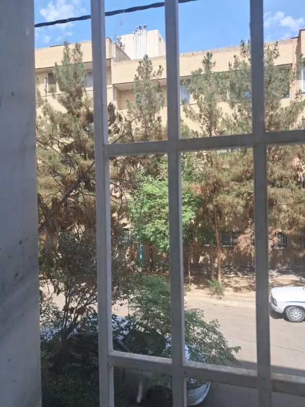 ۲۶۰۰ کلنگی همراه با جواز