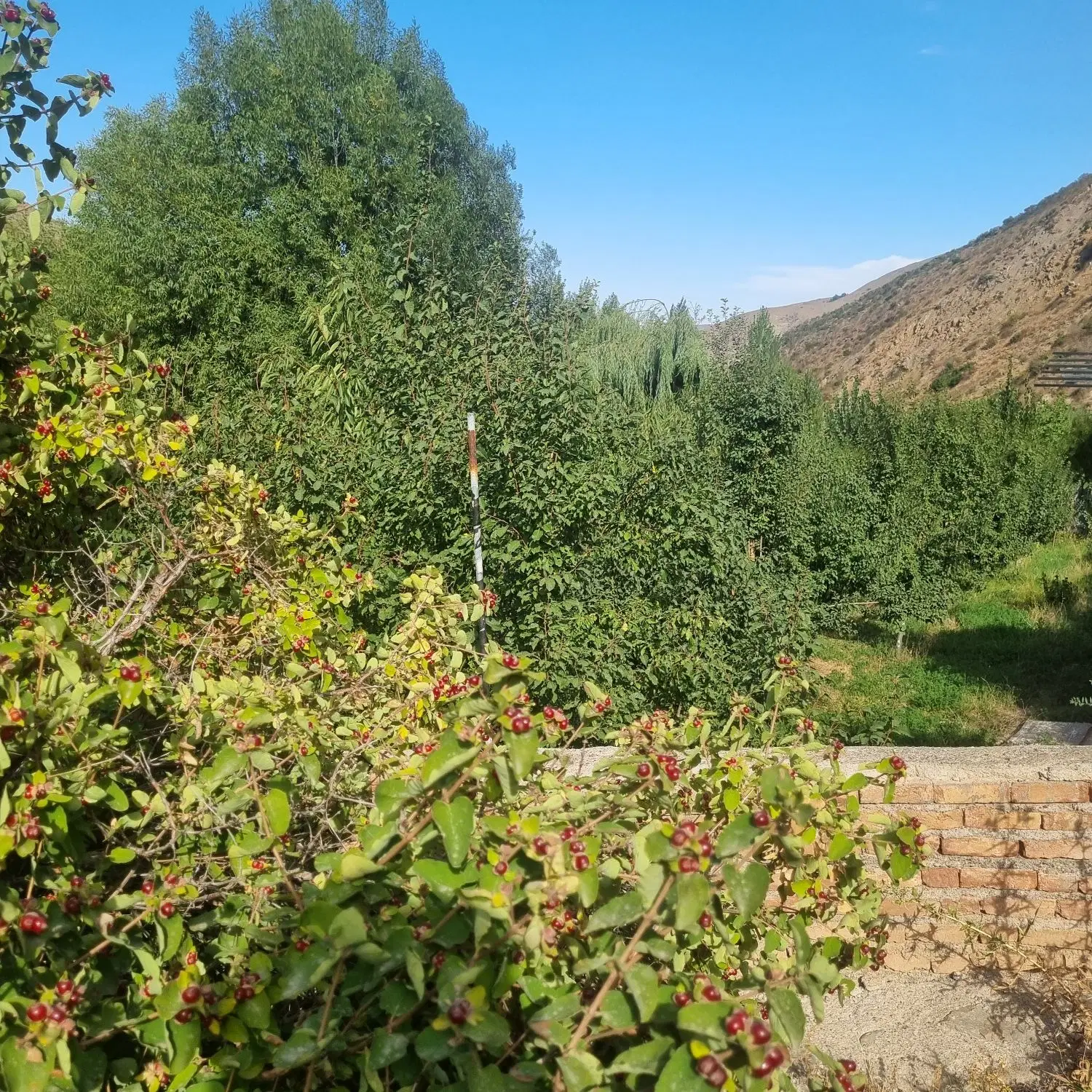 زمین درآذرشهر