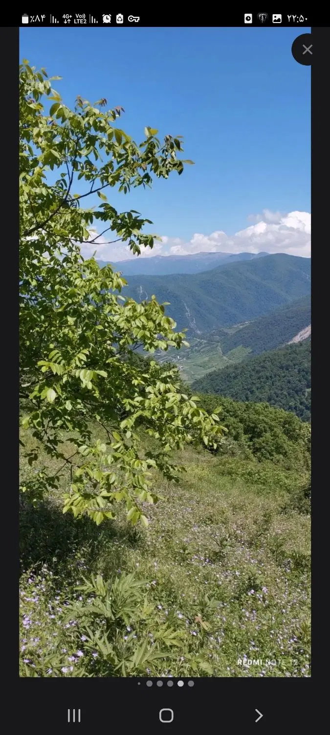 زمین باغی الازمن