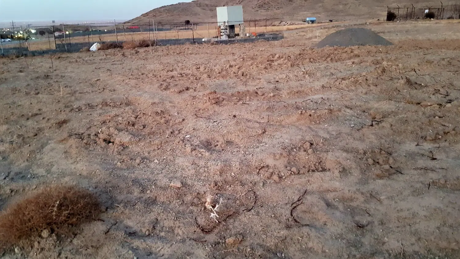 فروش زمین باغی