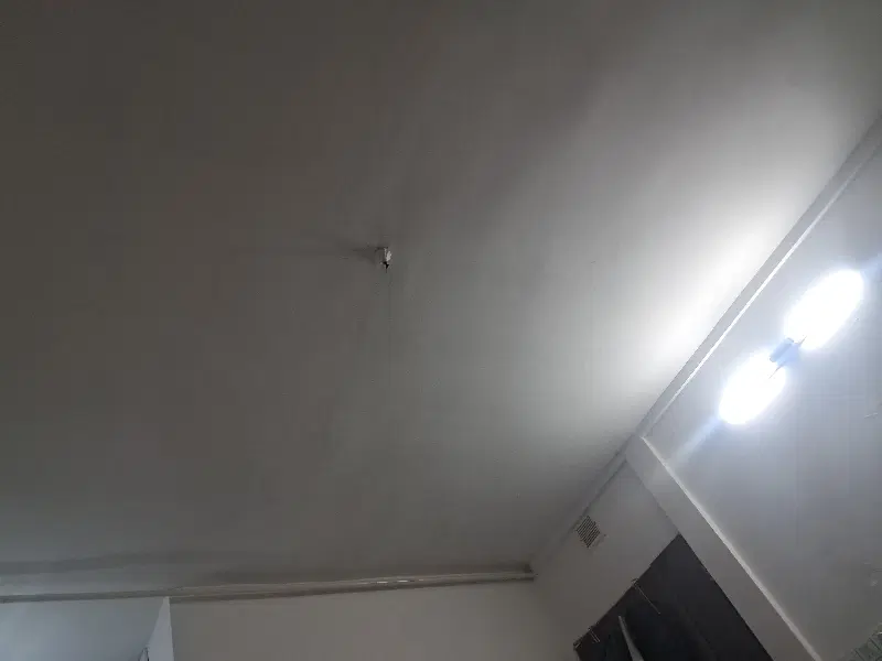 همخونه خانم