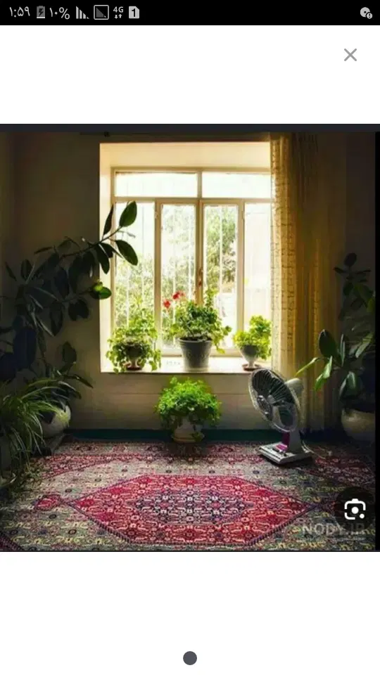همخونه-همخانه