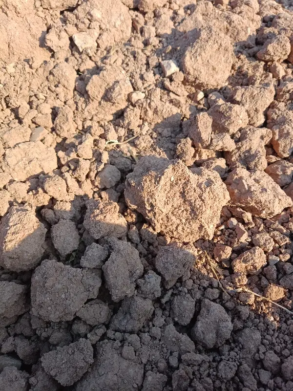 زمین مسکن ملی