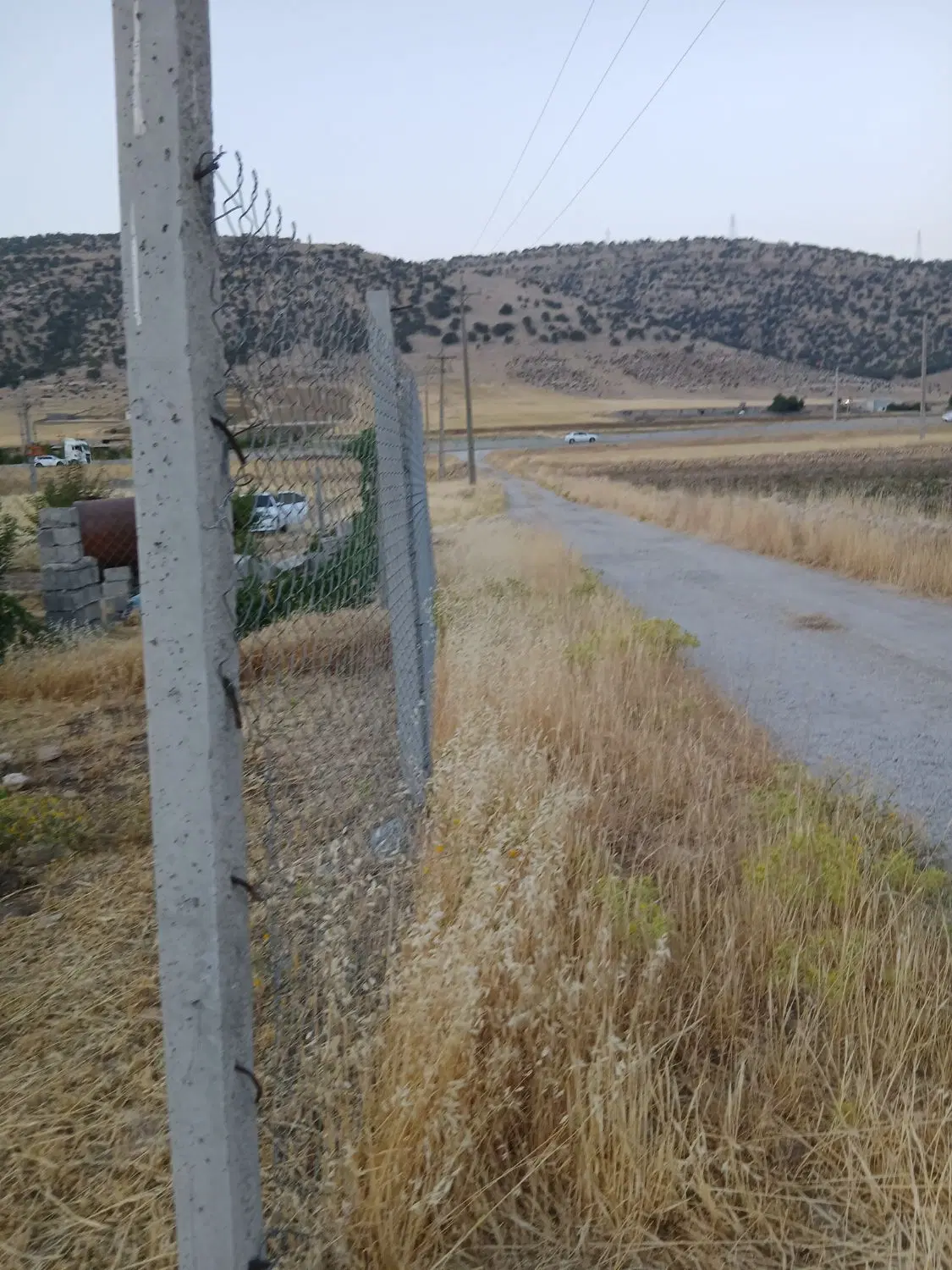 زمین باغ سند تک برگ سراب