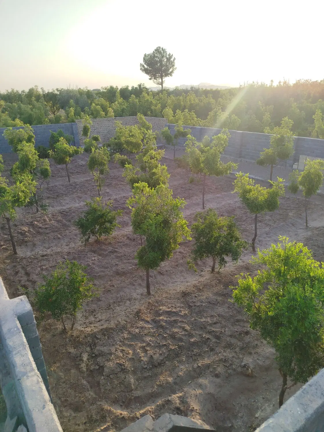 باغ دنج و نقلی روستای فخر آباد تقاب