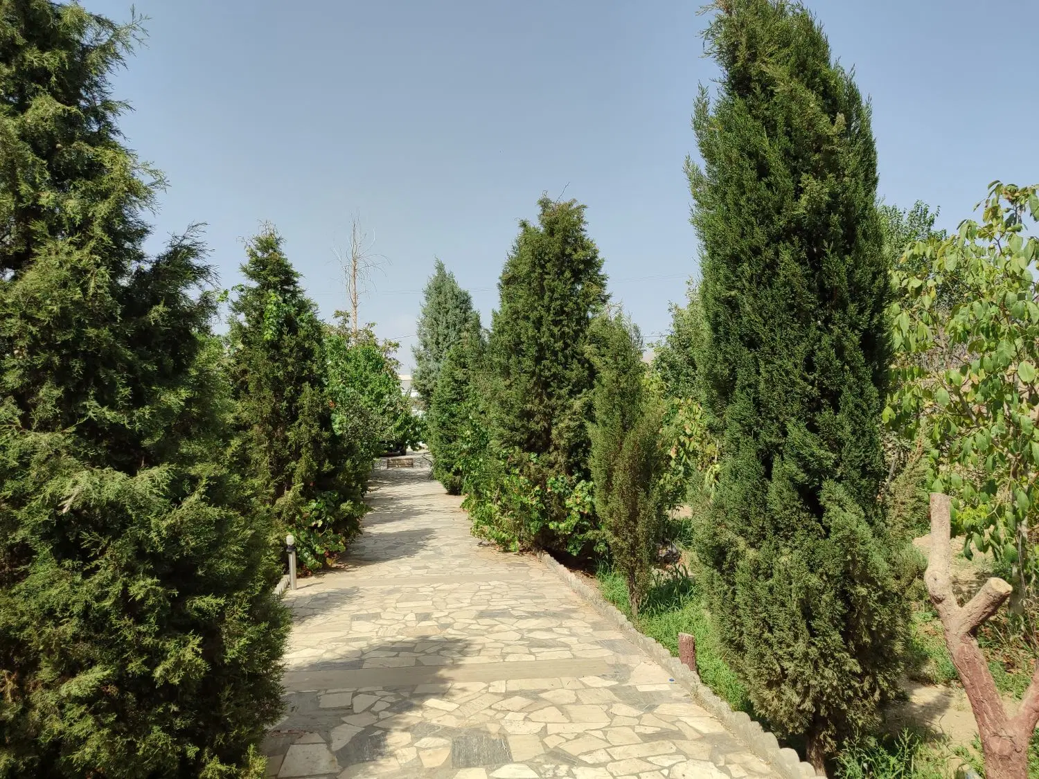 باغ ویلا ۱۲۰۰متری،زردنجان با قیمت استثنایی