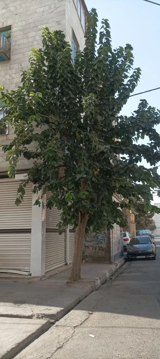 سوییت آپارتمان به مجرد اقا موجه
