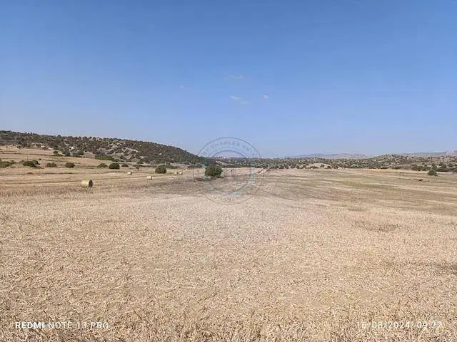 زمین فروشی مازه خریده