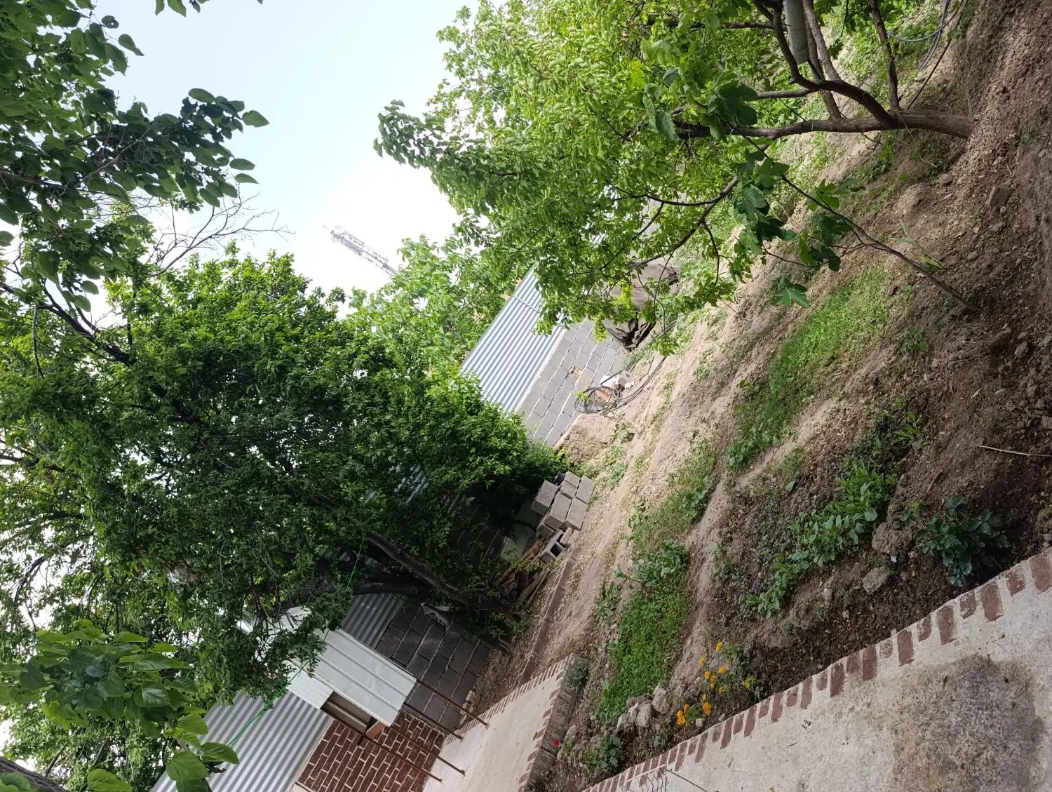 اجاره باغ ویلا سنتی باغچه