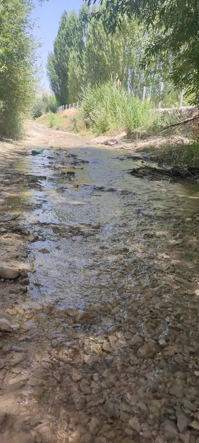 فروش باغ