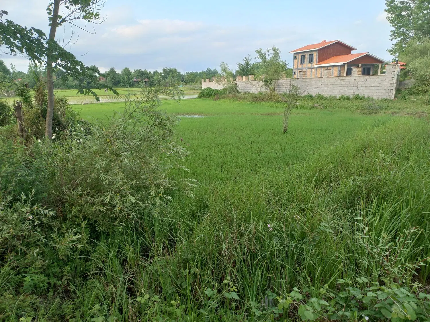 خانه ویلایی وزمین در روستای امیرهنده امیرسلطان