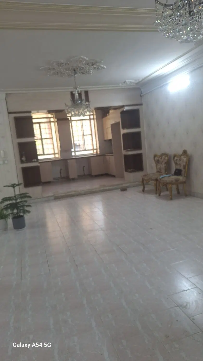 ویلایی علوی