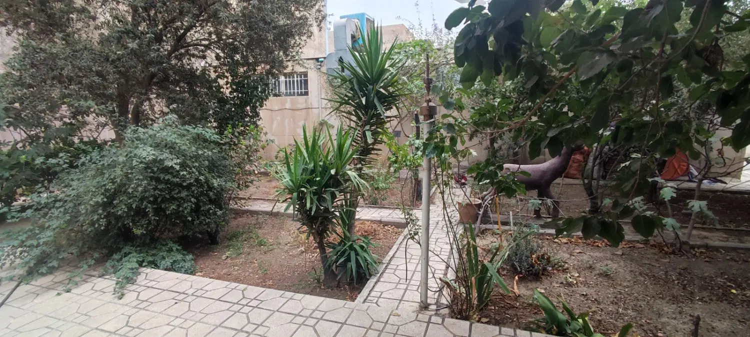 ملک کلنگی