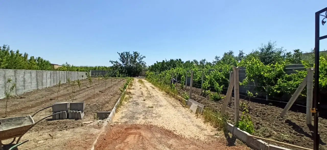 فروش باغ ۱۲۰۰ متر روستای گباران کوی آدا