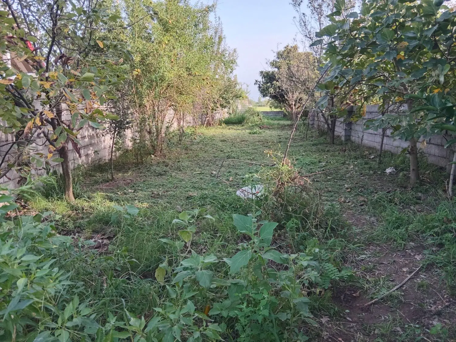 زمین مسکونی